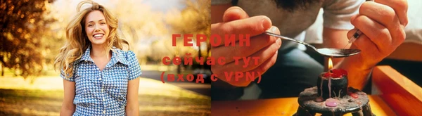 гидра Надым