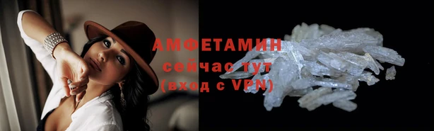 гидра Надым