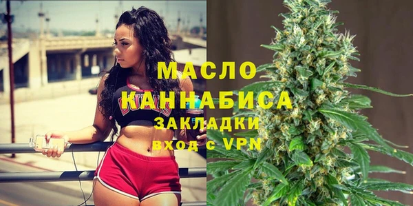 гидра Надым