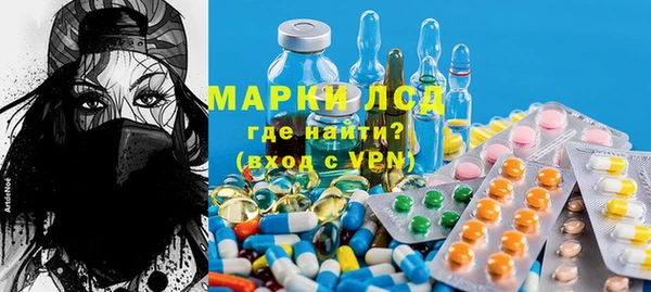 гидра Надым