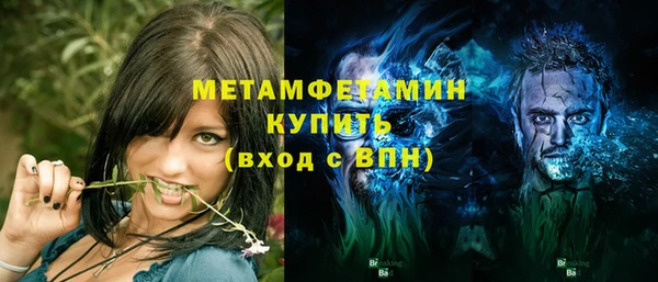 гидра Надым