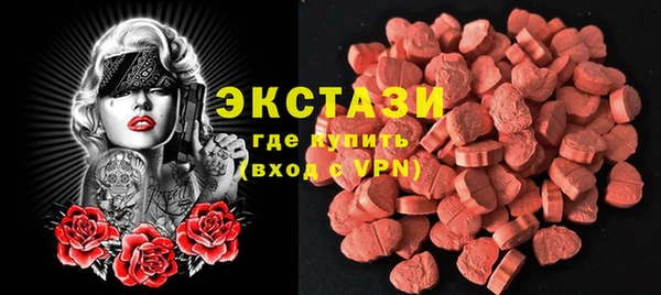 гидра Надым
