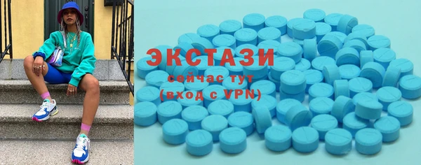 гидра Надым