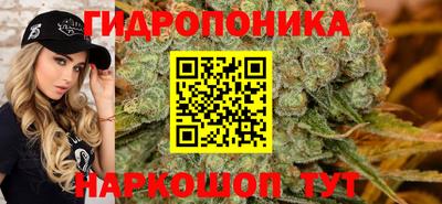 ГАЛЛЮЦИНОГЕННЫЕ ГРИБЫ Новозыбков