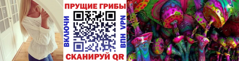 Псилоцибиновые грибы прущие грибы  Вологда 